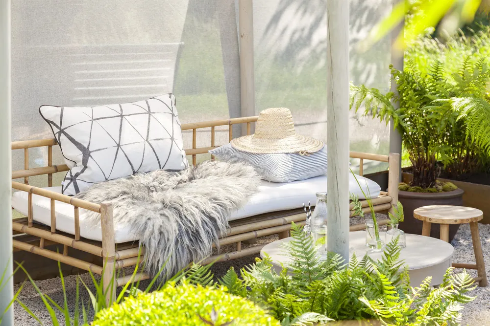 Feng Shui to go